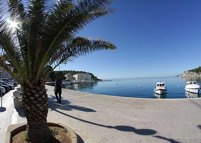 Bekavac Osejava Makarska